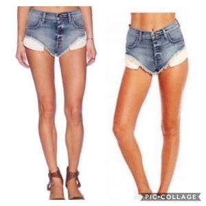 WILDFOX Beach Butt in Sea Salt Shorts